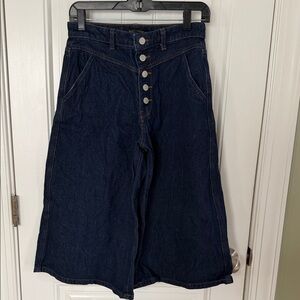 Banana Republic Indigo Denim Pants